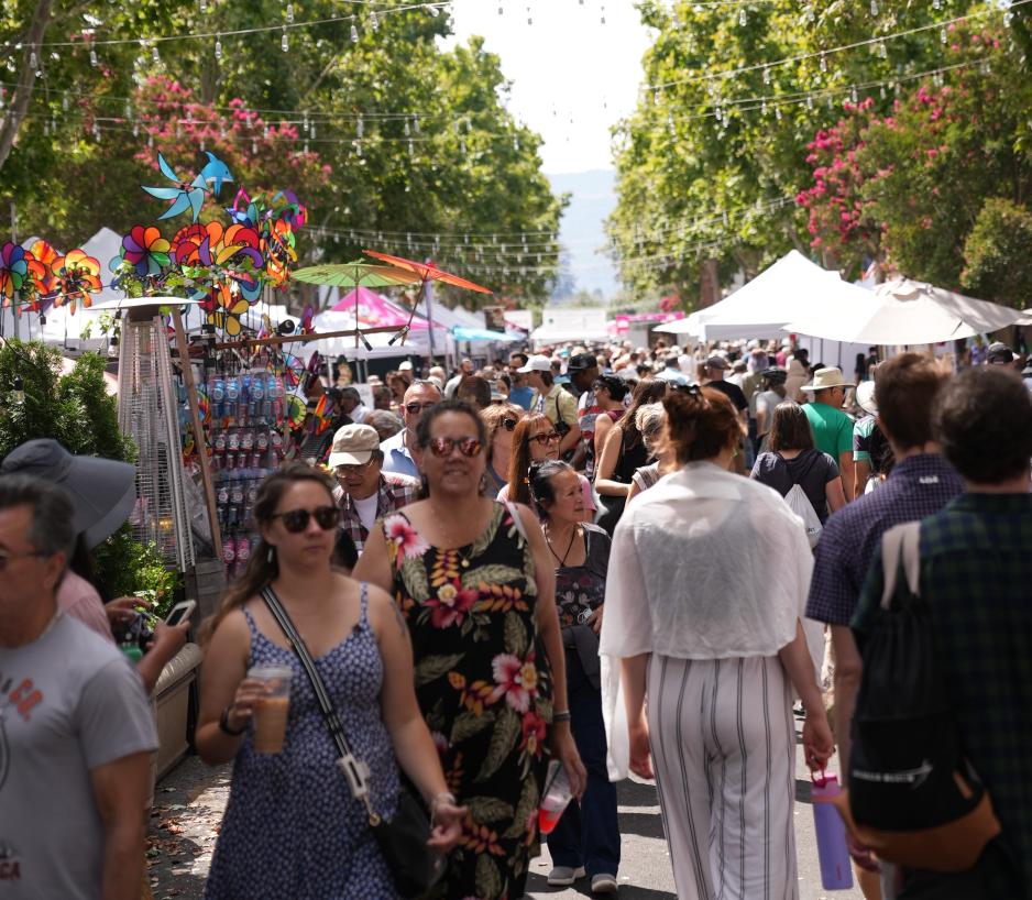 people at Mountain View Art and Wine Festival